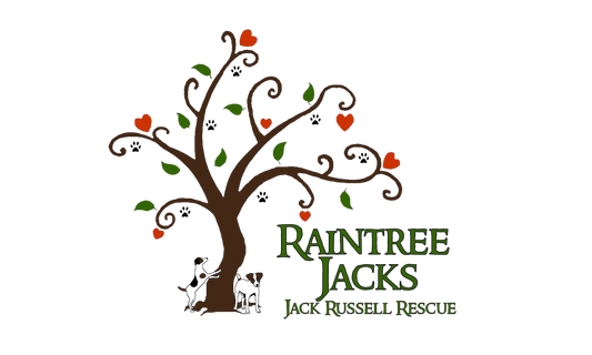 raintree-jacks-jack-russell-rescue-logo