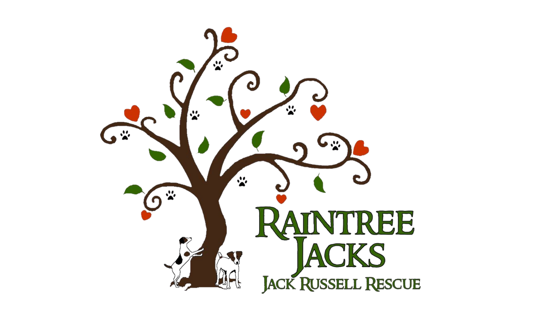 raintree-jacks-jack-russell-rescue-logo