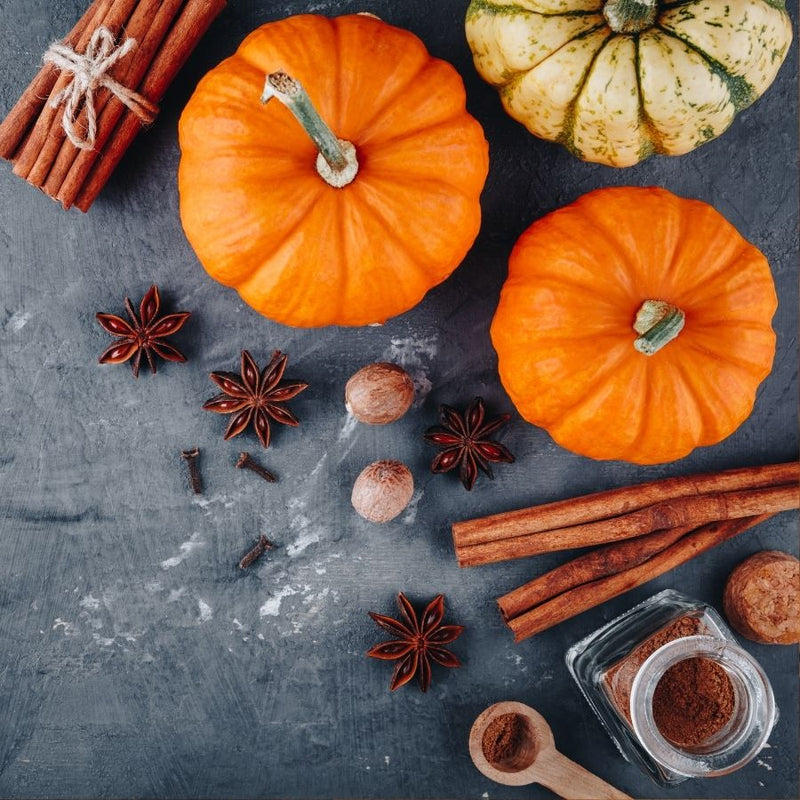 Fall & Halloween Collection