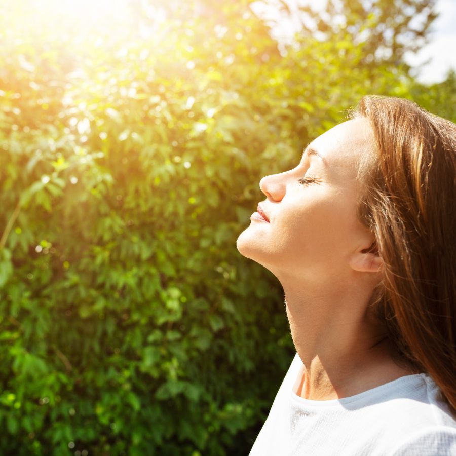 Fresh & Clean Scent Collection