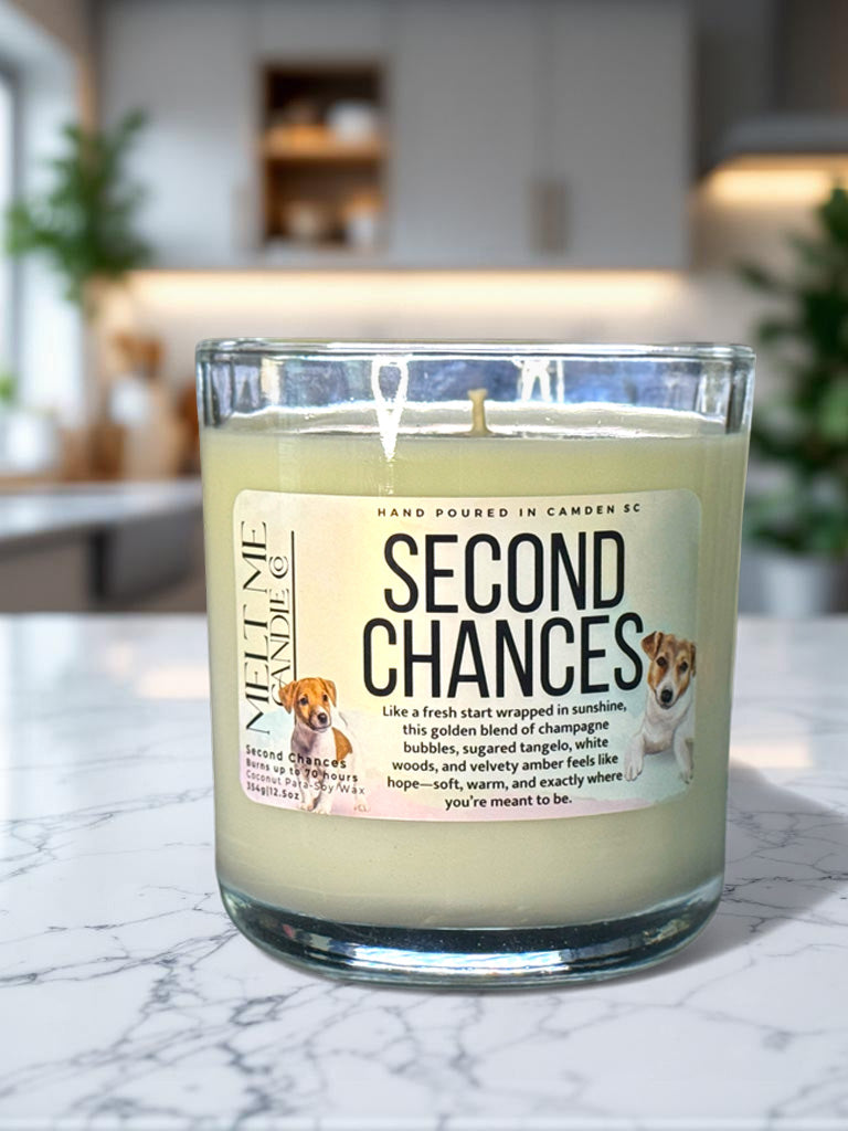 Second Chances – Citrus Amber Scented Candle (Fur-ever Home Collection)