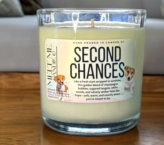 Second Chances – Citrus Amber Scented Candle (Fur-ever Home Collection)