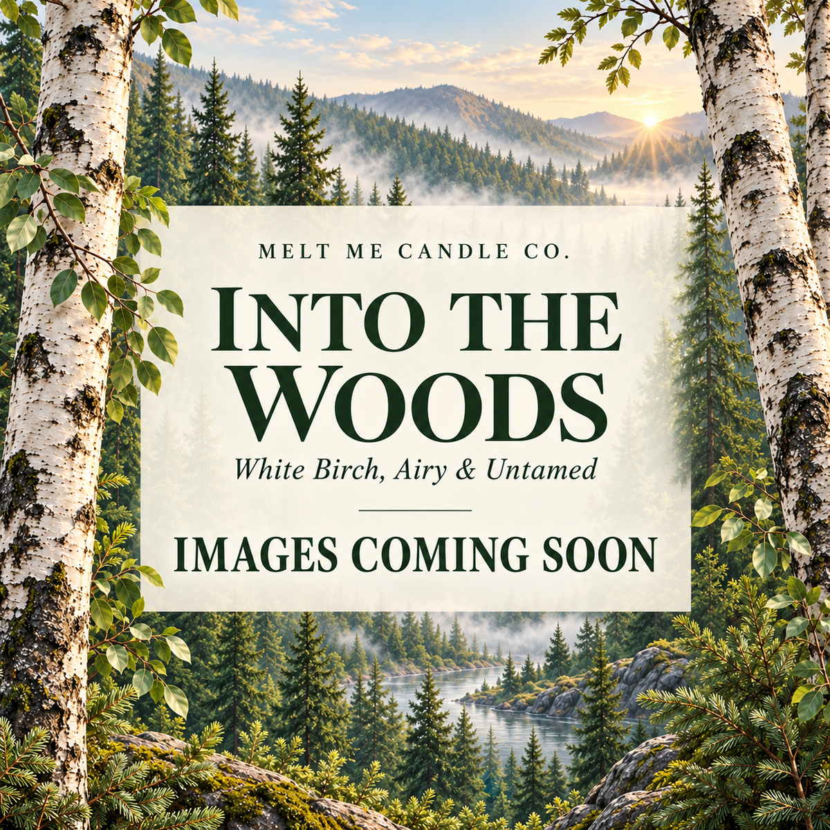 Into The Woods candle - White Birch, Airy & Untamed. Images coming soon.