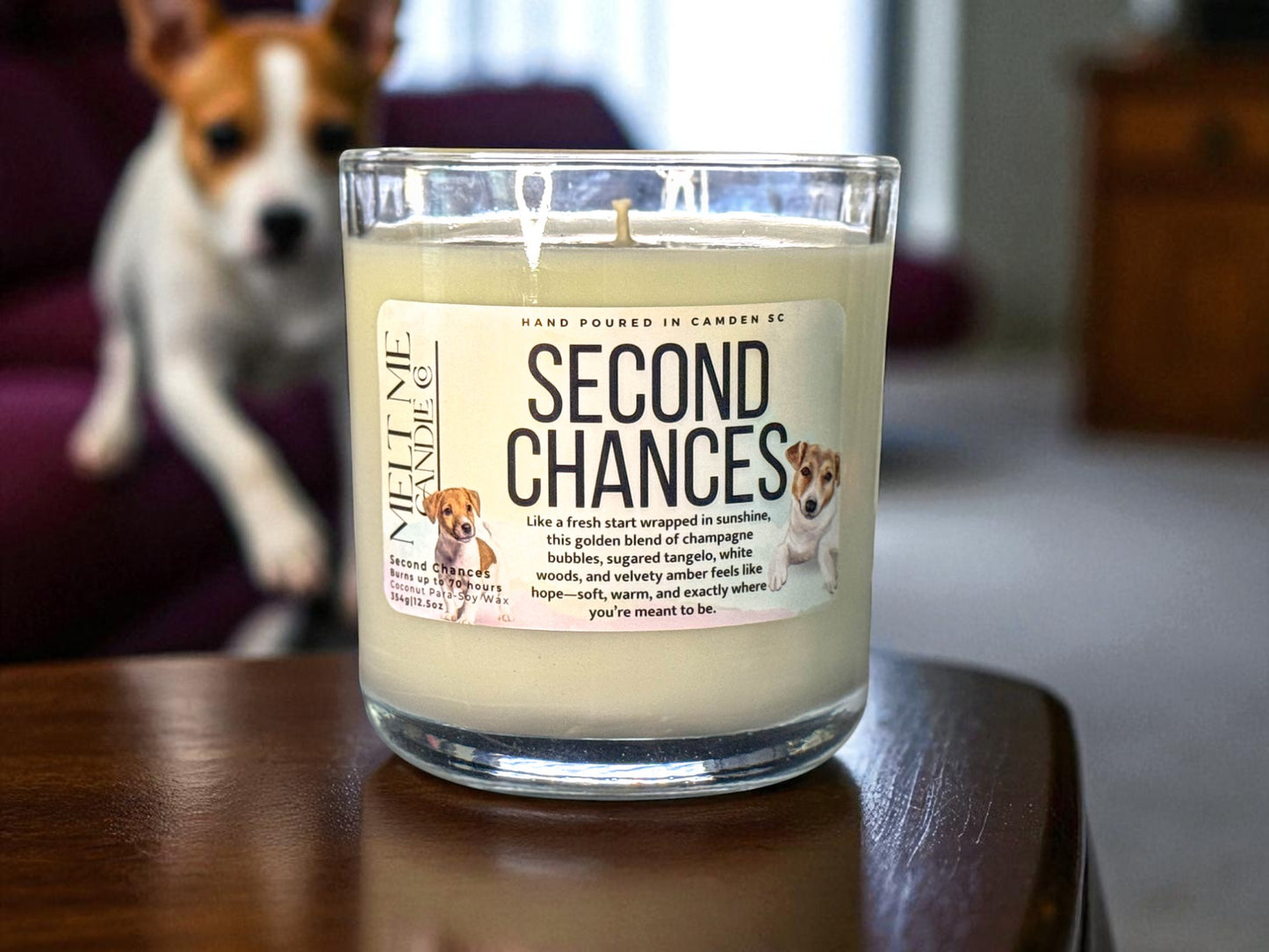 Second Chances – Citrus Amber Scented Candle (Fur-ever Home Collection)