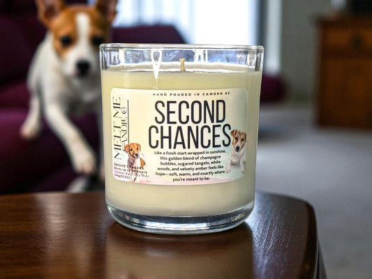 Second Chances – Citrus Amber Scented Candle (Fur-ever Home Collection)
