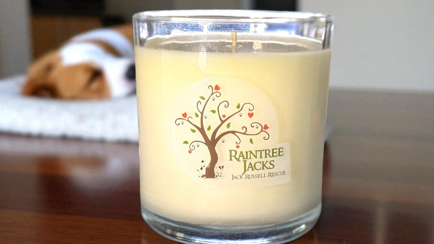 Gentle Paws – Aloe & Fruit Scented Candle (Fur-ever Home Collection)